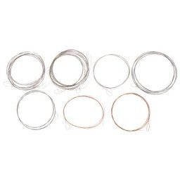Thomann Nataraj Sarod Strings Set