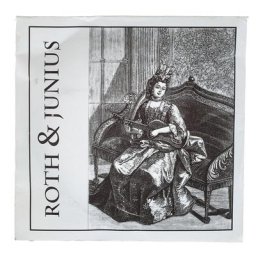 Roth & Junius Lever Harp String No. 24/34