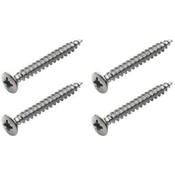Warwick Screws for Bolt-On Necks Ch