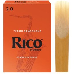 Daddario Woodwinds Rico Baritone Sax 2