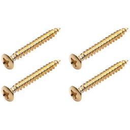 Warwick Screws for Bolt-On Necks G