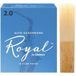 Daddario Woodwinds Royal Alto Sax 2