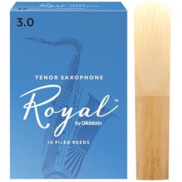 Daddario Woodwinds Royal Tenor Sax 3