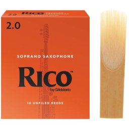 Daddario Woodwinds Rico Soprano Sax 2