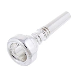 Bach 349 Cornet 10-1/2EW