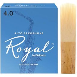 Daddario Woodwinds Royal Alto Sax 4