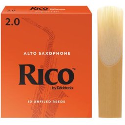 Daddario Woodwinds Rico Alto Sax 2