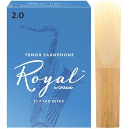 Daddario Woodwinds Royal Tenor Sax 2