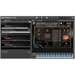 Best Service Galaxy II Steinway