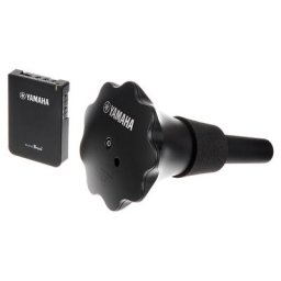 Yamaha SB-5X-2