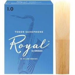 Daddario Woodwinds Royal Tenor Sax 1