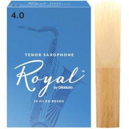 Daddario Woodwinds Royal Tenor Sax 4