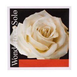 Pirastro Wondertone Solo E Violin 4/4