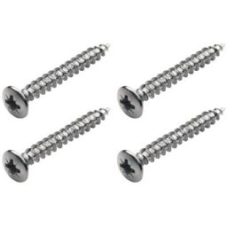 Warwick Screws Bolt-On Necks/Gurt CH