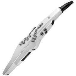 Roland Aerophone AE-20W