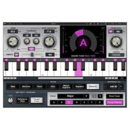 Waves Tune Real-Time