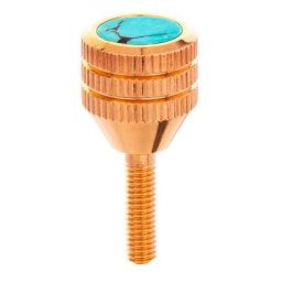 KGUMusic Neck Screw Yamaha 24K