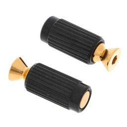 Floyd Rose Mounting Studs and Inserts G