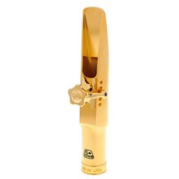 Theo Wanne Durga V Baritone 6* Gold