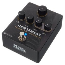 PRS Horsemeat transparent OD