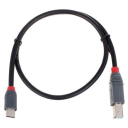 Lindy 0,5 m USB 2.0 Typ C/B Anthra