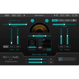 Nugen Audio Paragon ST
