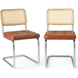 Chaises de Salle à Manger Lot de 2, Chaise en Porte-à-Faux 49 cm de Haut Dossier Rotin pe, Siège