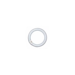 Néon circulaire Lumilux 22W 840 c G10Q