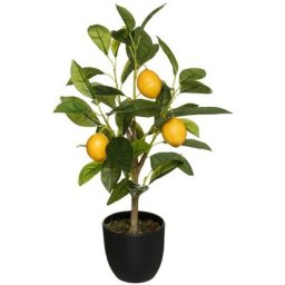 Atmosphera - Citronnier h 43 créateur d'intérieur - Multicolore