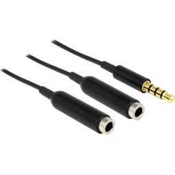 Delock - Câble audio 65575 [1x Jack mâle 3.5 mm - 2x Jack femelle 3.5 mm] 25.00 cm noir - noir