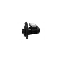 Pack hydromoteur Pentair Challenger - 25 m3/h