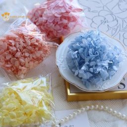 Hortensia séché naturel coloré petit cuir chevelu décoration de la maison matériel fait main