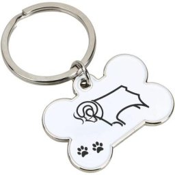 Médaille pour animal de compagnie du comté de Derby