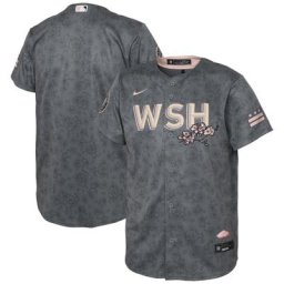 Maillot Nike Washington Nationals 2022 City Connect Replica pour enfant gris
