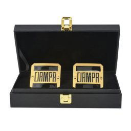 Tommaso Ciampa NXT Championship Replica Coffret de plaques latérales