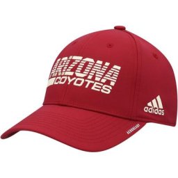 Casquette adidas Arizona Coyotes 2021 Locker Room AEROREADY Flex pour homme