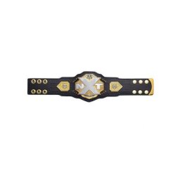 Ceinture de titre Mini réplique du NXT Women's Championship