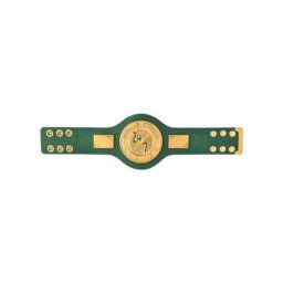 Ceinture de titre Mini réplique du 24/7 Championship