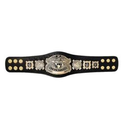 Ceinture de titre de mini réplique de Undisputed Championship
