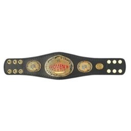 Réplique miniature de la ceinture de champion de l'Attitude Era Women's Championship