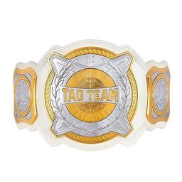 Titre du Women's Tag Team Replica Championship
