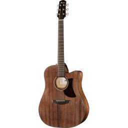 Ibanez AAD190CE-OPN