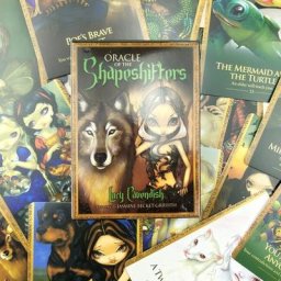 Jeu de Tarot Oracle du Shapeshifters jeu de Divination en anglais complet 45 cartes nouveauté