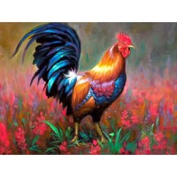 Gatyzory – peinture numérique sur toile avec numéros 60x75cm image de coq sans cadre pour
