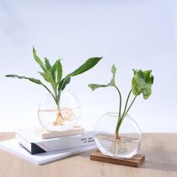 Terrarium de bureau rond en verre de cristal avec support rétro en bois massif Vase de fleur de