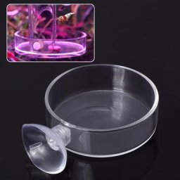 Bol d'alimentation en verre transparent pour Aquarium bol d'alimentation en forme de crevette