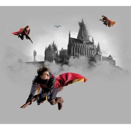Papier peint Harry Potter sur son balais 225 x 270 cm