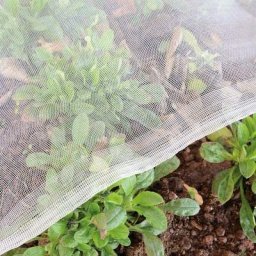 Jardin Filet Anti Insecte Potager: 3 x 10 m Maille Fine Protection pour Poireaux Arbre Fruitier