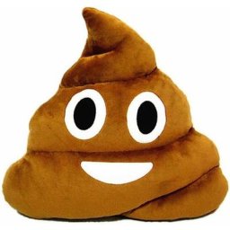 Mignon en peluche caca oreiller coussin jouet coussins cadeau pour amis, enfants et chiens, 30,5 x