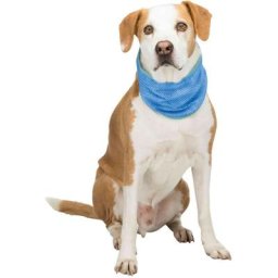 Bandana rafraîchissant m 28 à 40 cm pour chien Trixie Bleu